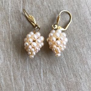 Freshwater Pearl Earrings🐶